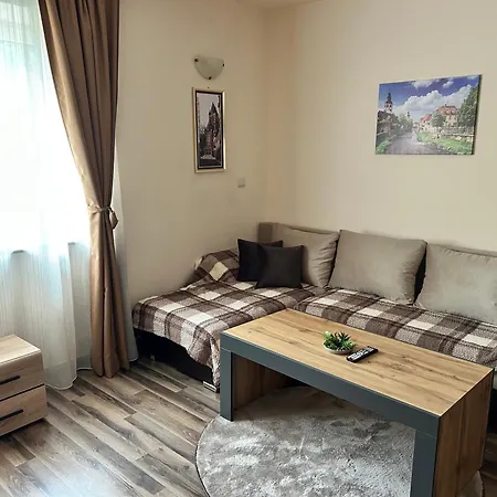 Central Apartment *